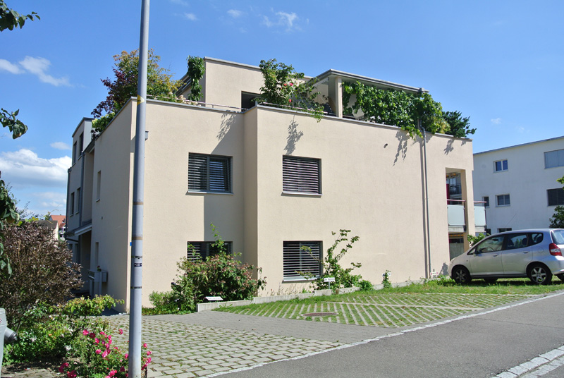 DSC_5911 (1)